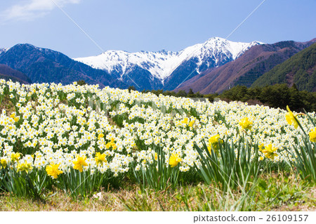 Suicen和Komagatake 26109157