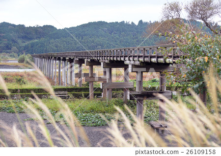 [Guinness certification, the world's best wooden footbridge] Horai Bridge 26109158