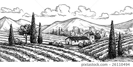 Hand drawn vineyard landscape. Hand drawn vineyard landscape. 26110494