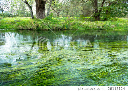 Clear current of Tatekawa Clear current of Tatekawa 26112124