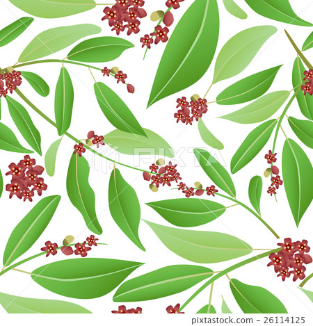 seamless pattern sandalwood 26114125