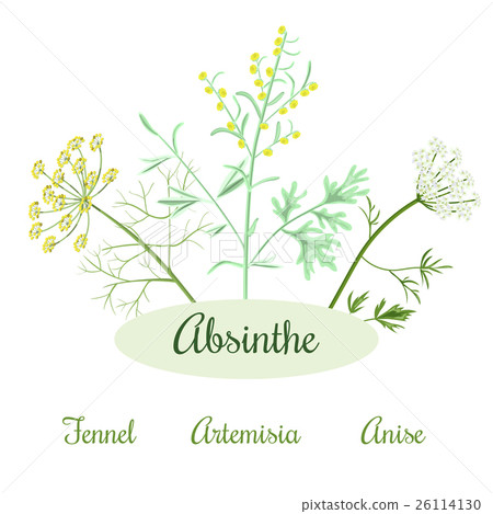 absinthe herbs ingredients absinthe herbs ingredients 26114130