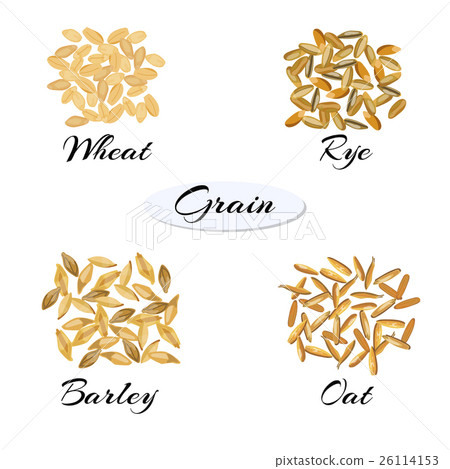 Different types of grain. Different types of grain. 26114153