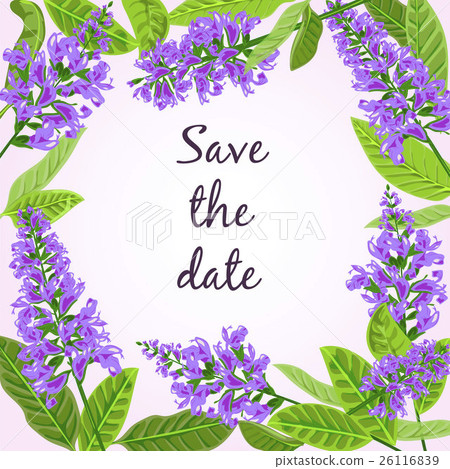 frame Flowering sage. 26116839