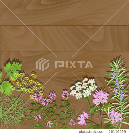Flowering herbs on wooden background. Flowering herbs on wooden background. 26116939
