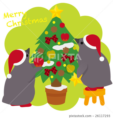 Adelie penguin Christmas 26117293