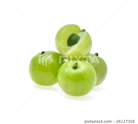 Indian gooseberry or Amla (Phyllanthus emblica) Indian gooseberry or Amla (Phyllanthus emblica) 26117308