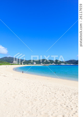 Forest of the 21st century beach 26117659