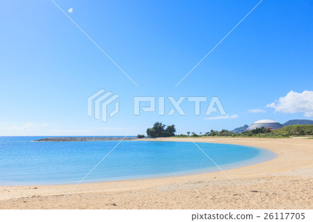 Forest of the 21st century beach 26117705