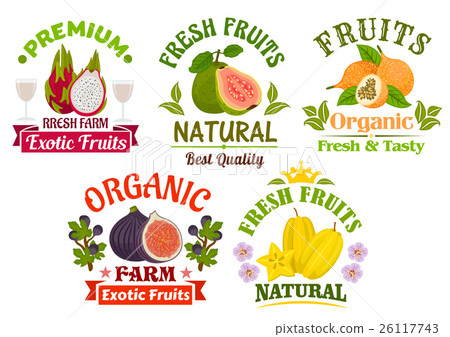 Fresh juicy natural organic fruits icons set - Stock Illustration ...