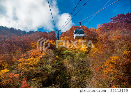 Nagano Hakuba Goryu's autumn leaves and gondola lift Nagano Hakuba Goryu's autumn leaves and gondola lift 26118159