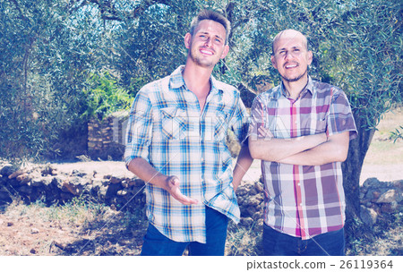 two male in olive tree garden 26119364