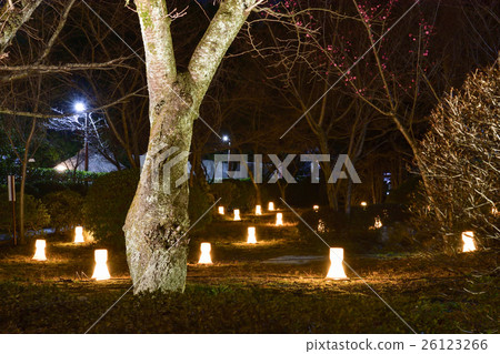 Higashiyama Flower Light Road Lishan Kokkyoji Besshi Kyoso Bamboo Open Lantern Higashiyama Flower Light Road Lishan Kokkyoji Besshi Kyoso Bamboo Open Lantern 26123266