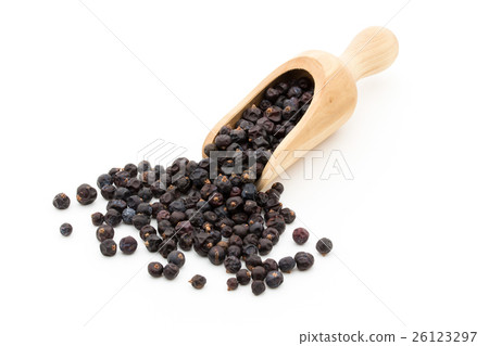 Juniper Berry: Juniper Berry Juniper Berry: Juniper Berry 26123297