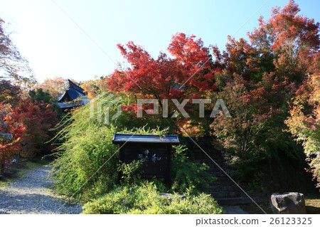 Shinshu Iiyama Jiyo-ji Temple秋葉 26123325
