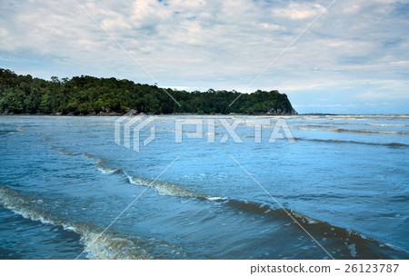 Tajor bay in Bako National Park Tajor bay in Bako National Park 26123787