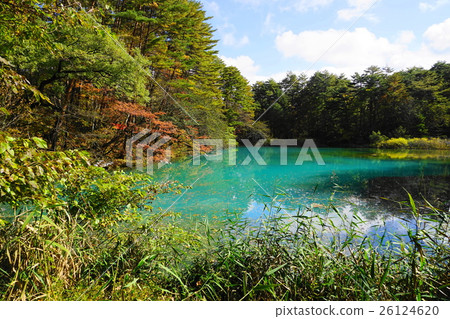 十月萬代高原12 Kitashiobara村的秋葉·Aonuma 十月萬代高原12 Kitashiobara村的秋葉·Aonuma 26124620