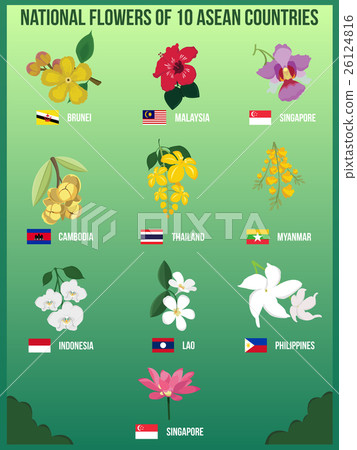 Cambodia National Flower | Best Flower Site