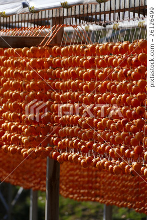 Kushimori no Sori Wakayama Prefecture Kagiri Town 26126499