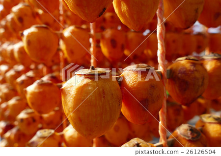 Kushimori no Sori Wakayama Prefecture Kagiri Town 26126504