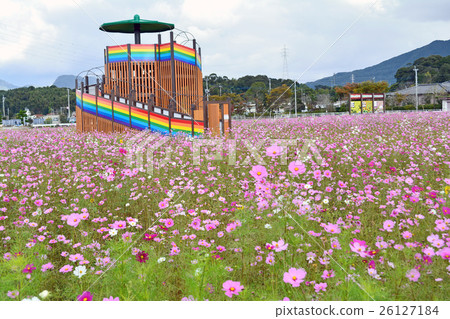 Oota Hana Park 26127184