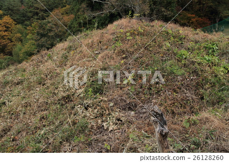 長野縣Chikuhoku-mura Anzaka Nakamura Kofun 26128260