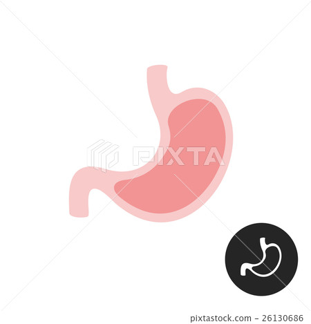 Stomach simple vector flat illustration. 26130686