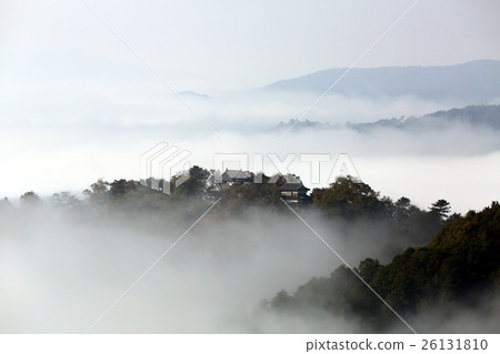 Castle in the sky 543 26131810