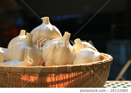 Takako garlic 26132060