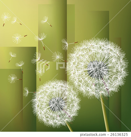 Abstract background with two flowers dandelions 26136325
