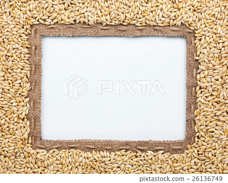 Frame of burlap and barley in beans Frame of burlap and barley in beans 26136749