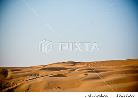 Desert dunes in Liwa, United Arab Emirates Desert dunes in Liwa, United Arab Emirates 26138106