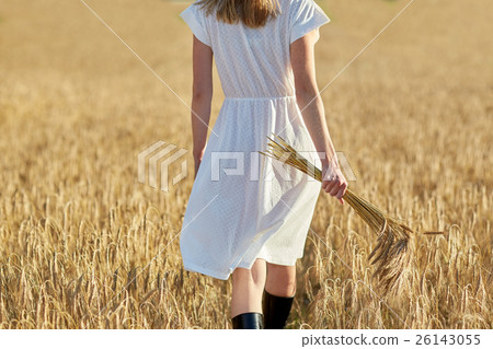 young woman with cereal spikelets walking on field 26143055
