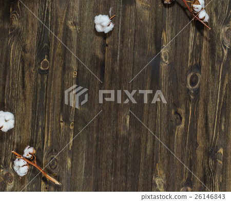 cotton flowers on wood background cotton flowers on wood background 26146843