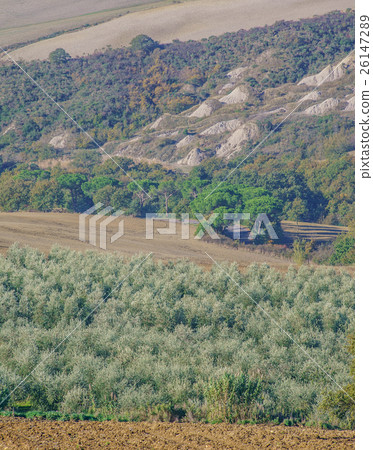 Tuscany landscape Tuscany landscape 26147289