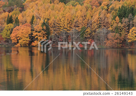 青木湖的秋天 26149143