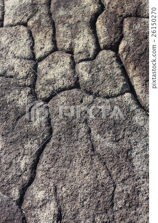 Rough rough skin 26150270