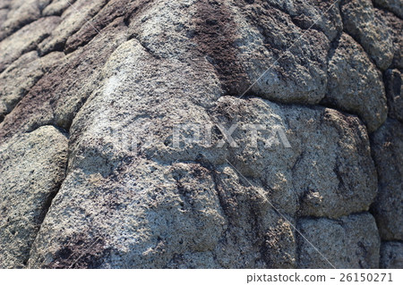 Rough rough skin 26150271