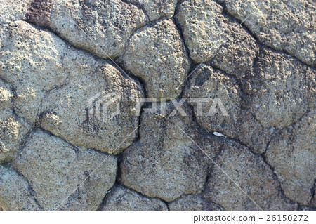 Rough rough skin 26150272