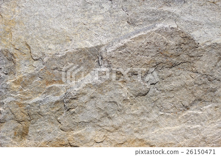 粗糙的皮膚 26150471