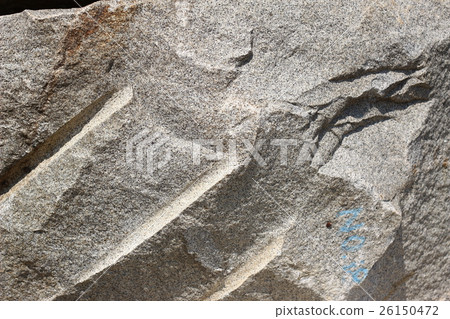 Rough rough skin 26150472