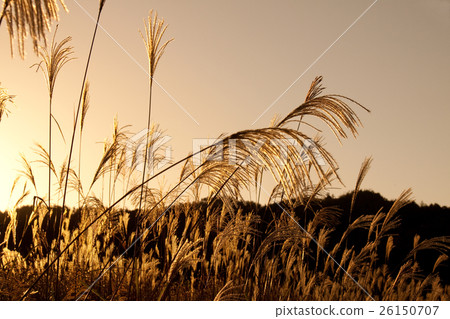 Sunset of the sunset Sunset of the sunset 26150707