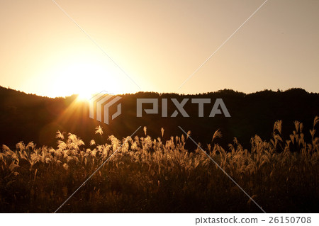 Sunset of the sunset Sunset of the sunset 26150708