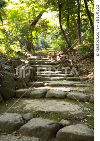 A stone steps trail 26150852
