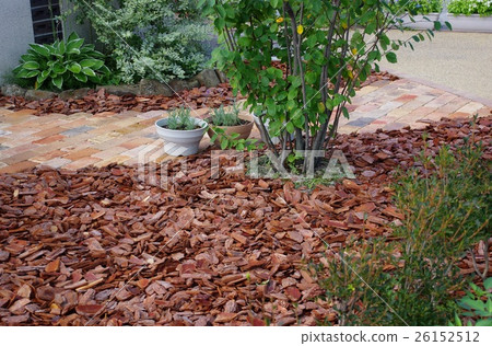 Garden of Barkchip Garden with wooden pieces garden 26152512