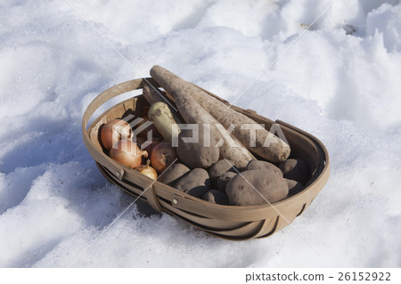 Overwintering vegetables 26152922