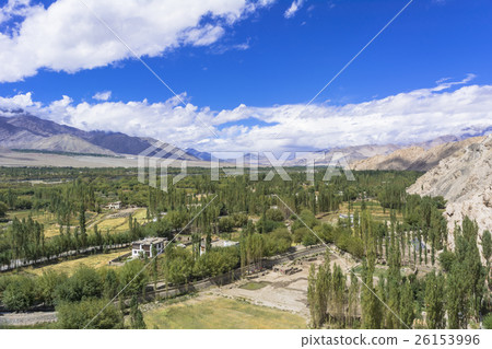 在拉達克地區的李周圍 26153996