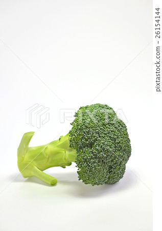 西蘭花 西蘭花 26154144