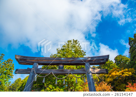 Nagano Togakushi Shrine Torii Torii Autumn morning Nagano Togakushi Shrine Torii Torii Autumn morning 26154147