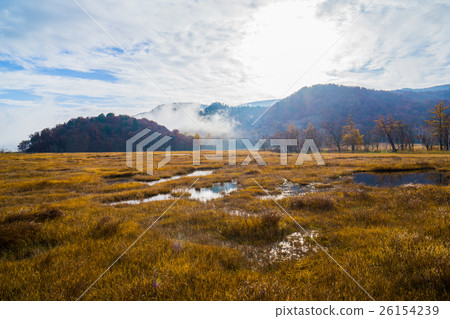 Ozegahara晨霧 Ozegahara晨霧 26154239